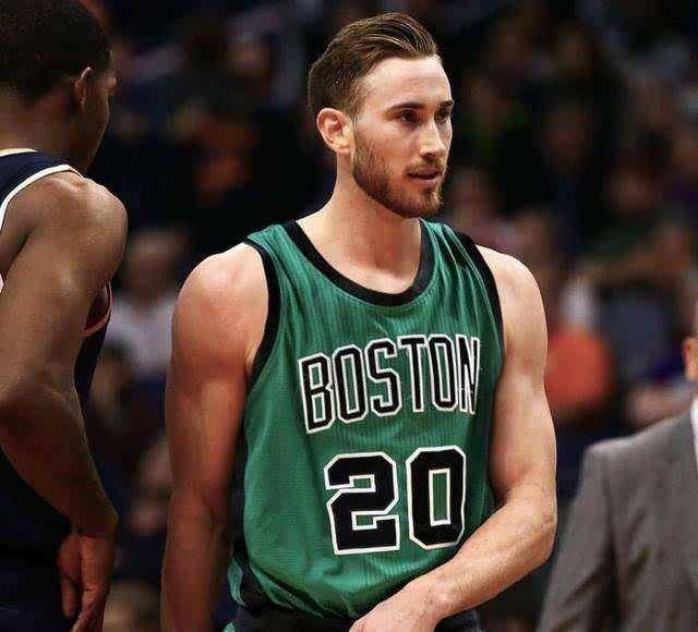 的强大适应 的强大适应